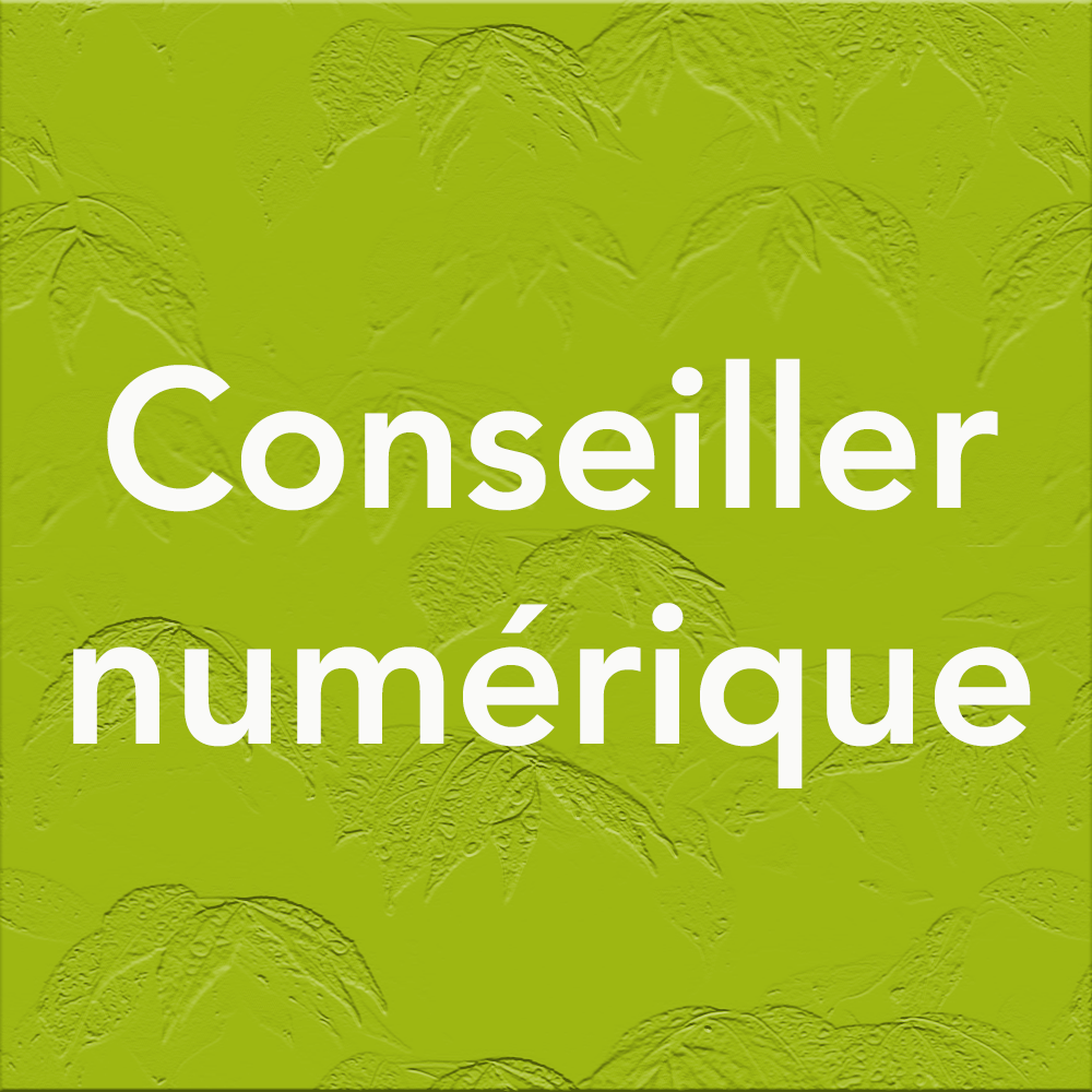 Conseiller-numérique