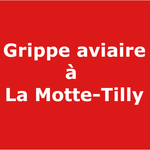GrippeAviaireLaMotteTilly