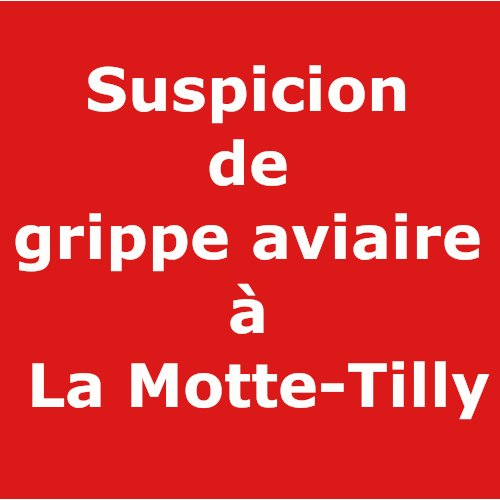 TitreLMTGrippeAviaire